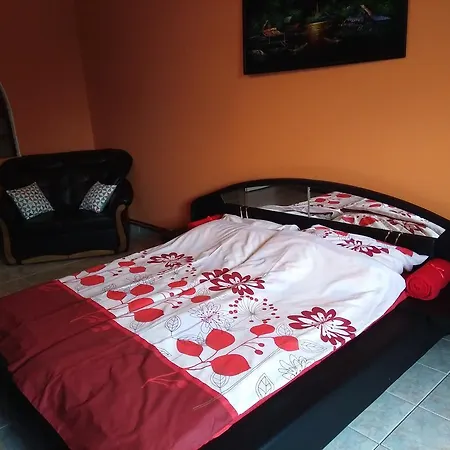 Thoekoely Apartman Szolnok